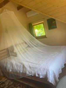 ŽuklijaiLake Dreamhouse的一间卧室配有一张带蚊帐的床