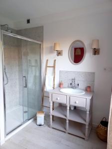 Montjean-sur-LoireLe Clos Beauséjour的一间带水槽和淋浴的浴室