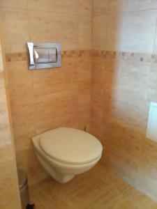 Къща за гости Поляна的浴室设有卫生间和卫生纸饮水机