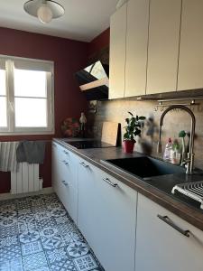 波尔多T2 Cosy et calme en plein centre的厨房配有白色橱柜和水槽