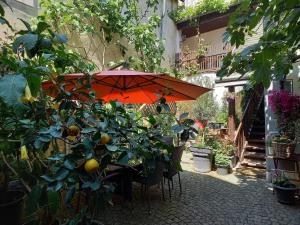 多瑙河畔克雷姆斯奥夫戴尔坤斯特美旅馆的花园里的一张桌子和一把橙色遮阳伞