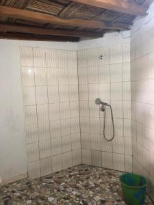 KafountineKaramba Lodge的一间带淋浴的浴室,位于瓷砖墙壁上