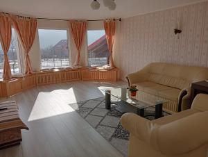 古拉哈莫卢洛伊Casa Popa的客厅配有沙发和桌子