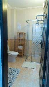 凯麦尔Spacious Villa with Sea and Mountain View的一间带卫生间和玻璃淋浴间的浴室
