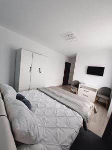 锡比乌Five House的一间卧室配有一张床、一张书桌和一台电视。