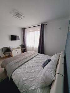 锡比乌Five House的一间卧室设有一张大床和一个窗户。