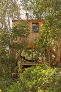 阿尔热祖尔Soul Farm Algarve - Glamping & Farm Houses的树屋,树上有一个甲板