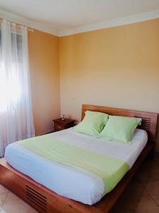 塔那那利佛B&B/chambres d'hôtes的一间卧室配有一张带绿色枕头的大床