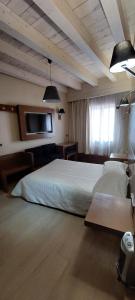 布尔戈斯洛斯布拉瑟洛斯中心酒店的卧室配有一张床,墙上配有电视。