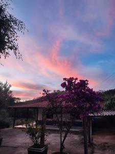 库尼亚Casa de campo com piscina a 2 min de cunha的一座房子前面有紫色树的天空