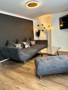 腓特烈港Villa Dana Bodensee的客厅配有沙发和桌子