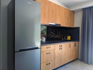 PandokrátorLANDR House的厨房配有木制橱柜和冰箱。