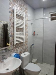 巴统M55 Home的浴室配有卫生间、盥洗盆和淋浴。