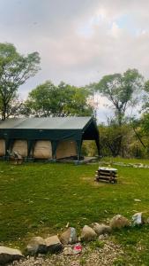 比尔瓦H2H bir的绿树成荫的田野上的大型绿色帐篷
