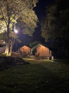 比尔瓦H2H bir的公园里晚上的几个帐篷