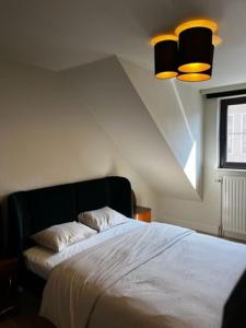 赫尔Appartement Parkzicht的一间卧室配有一张带两个枕头的床