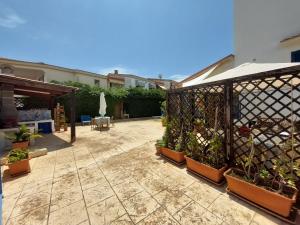 诺托玛丽娜西西里诺托太阳公寓的一个带盆栽和围栏的庭院
