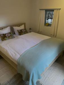 Ponte BrollaRustico Leoro的一间卧室配有一张带蓝色毯子的床