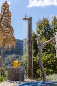 Sari-dʼOrcinoTerre de Maquis, maison d'hôtes vue mer Corse的鸟浴,喝一杯橙汁