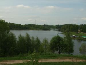 奥古斯图Dom u Wojciecha的享有树木和房屋的湖泊美景