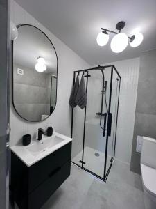 伊拉华Apartament nad Iławką的带淋浴、盥洗盆和镜子的浴室