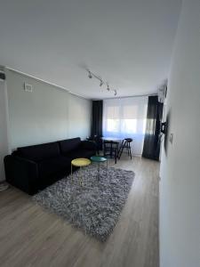 伊拉华Apartament nad Iławką的客厅配有黑色沙发和桌子