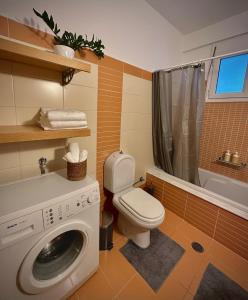 依拉佩特拉Mylos Ηome的一间带洗衣机和卫生间的浴室