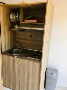 佩弗卡里Studios Litsa的木制橱柜内带水槽的厨房