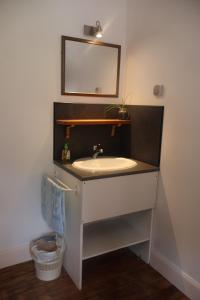 吕兹-圣索沃尔Solfé Backpacker的一间带水槽和镜子的浴室