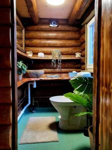 OsbyStrandängen rustisk stuga的一间带卫生间和木墙的浴室