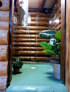 OsbyStrandängen rustisk stuga的客房设有带木墙的游泳池。