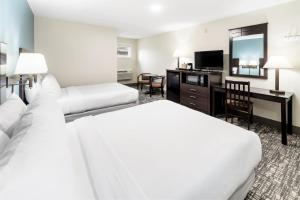 戈勒姆托普诺次酒店的酒店客房设有两张床和一台平面电视。