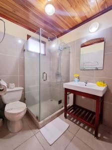 雅科Amapola Resort的带淋浴、卫生间和盥洗盆的浴室