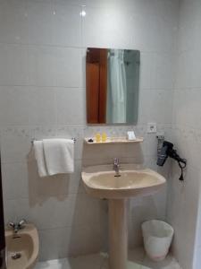 萨拉曼卡库斯科旅馆的一间带水槽、卫生间和镜子的浴室