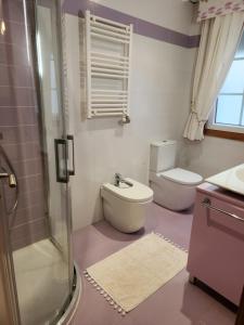坎加斯德穆拉索Casa Auga Boa的浴室配有卫生间、盥洗盆和淋浴。