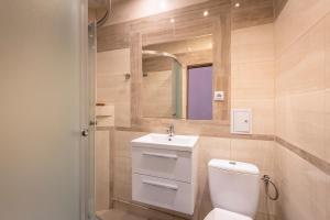 克拉科夫70s Guest room的一间带卫生间、水槽和镜子的浴室