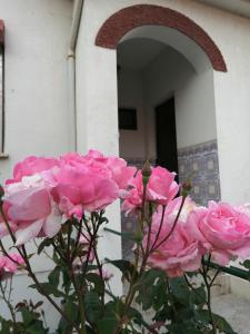 塔布阿苏Casa do César Douro Guest House的大楼前的一大束粉红色玫瑰