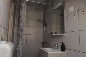 霍尔托巴吉MaRéJa Vendégház的带淋浴、盥洗盆和卫生间的浴室