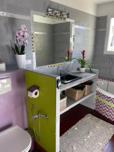 锡富尔勒普拉日Chambre La Soleïade的一间带水槽、卫生间和镜子的浴室