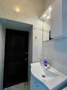 拉斯托伏Studio Apartman Ana的一间带水槽和黑色门的浴室