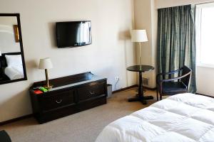 布兰卡港Hotel Austral Bahía Blanca的酒店客房,配有床和镜子