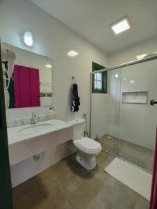 欧鲁普雷图Recanto Serra do Trovão的一间带水槽、卫生间和淋浴的浴室