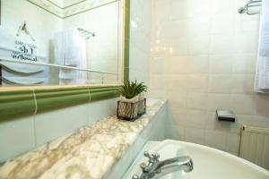 塞代拉LAR DA REVOLTA的一个带水槽和台面植物的浴室