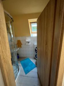 索卡Apartmaji in Sobe Cuder的带淋浴的浴室和蓝色地毯。