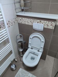 萨拉热窝Sarajevo Paradise的浴室配有带座椅的卫生间。