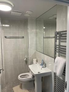 爱丁堡3 bed house with parking near airport的一间带卫生间、水槽和镜子的浴室