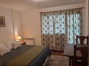圣卡洛斯-德巴里洛切Astoria Patagonia habitaciones privadas的一间卧室设有一张床和一个大窗户