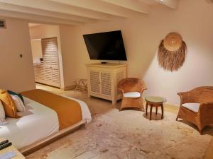 Barra Vieja阿卡普尔科第三生命酒店的一间卧室配有一张床和一台平面电视