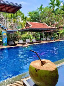 暹粒花园村泳池酒吧旅馆的椰子坐在游泳池边