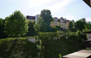 伊尔梅瑙Ferienwohnung TrautesHeim - Parkplatz gratis的花园美景度假屋